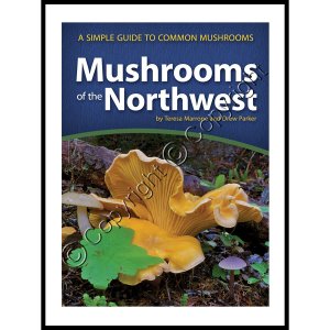 Mushrooms of the Northwest: A Simple Guide to Common Mushrooms