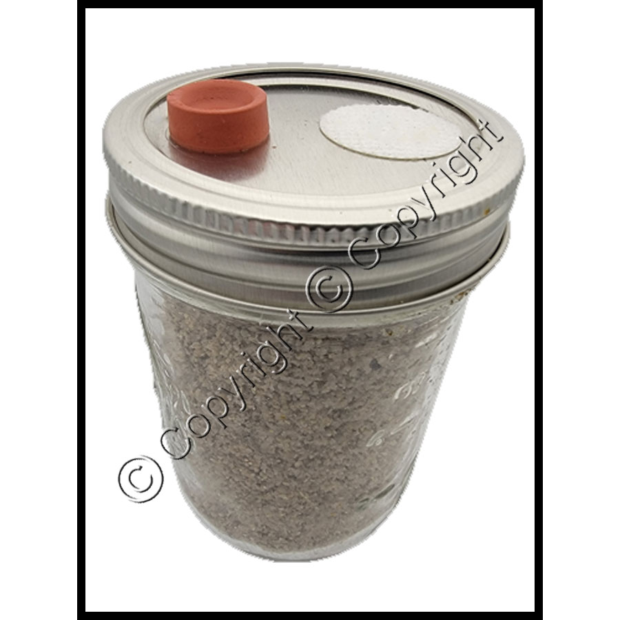 Brown Rice Flour Mushroom Cake Substrate Jars – Everything Mushrooms